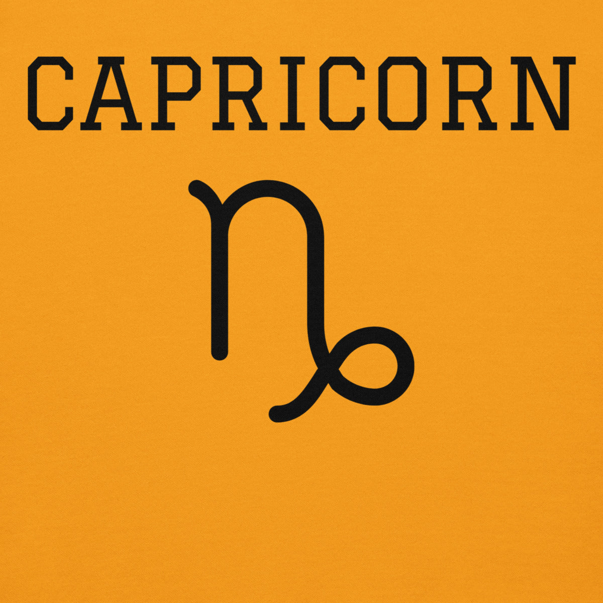 CAPRICORN OWN YOUR AMBITION POWER EDITION